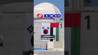 كيف غير مشروع "براكة" خريطة الطاقة في الإمارات؟