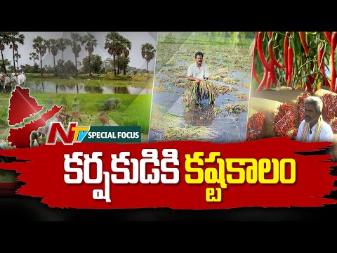 Special Focus on Farmers Problems in Telugu States | NTV Telugu - NTVTELUGU