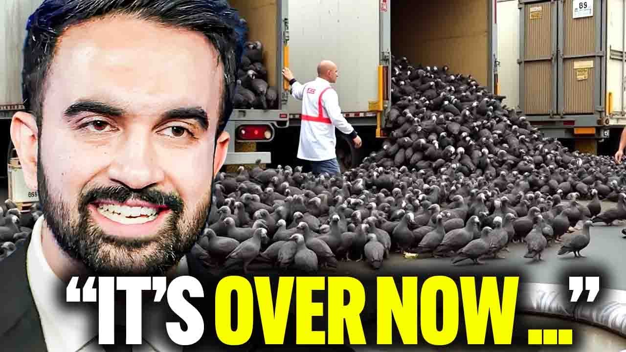 Выпуск миллионов крысоубийц в Нью-Йорке вызвал цепную реакцию, которую никто не предвидел