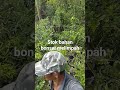 bonsaimania stok bahan bonsai melimpah