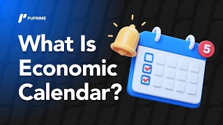 Economic Calendar Explained | Forex Market Update