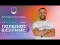 Полезное безумие   Сергей Норин  28 11 2020