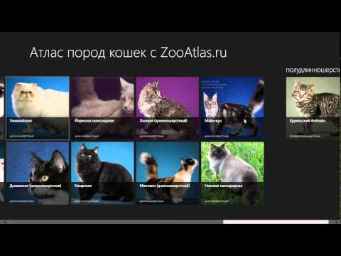 Атлас пород кошек