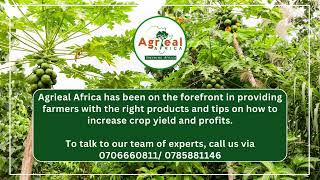 Benefits of Agricultural lime on your field