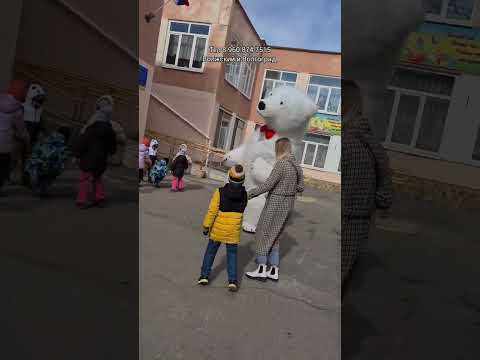 К мальчику в садик привели Белого Медведя 🔥 поздравление с Днем Рождения в Волжском 🎁 #волжский