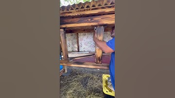 Rabbit Hutch Update #rabbits