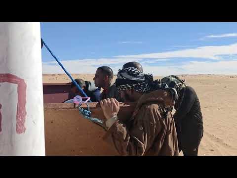Irl Stream In The Sahara Desert Ouargla 
