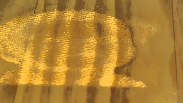 X-CARVE AND VCARE PHOTO XXX