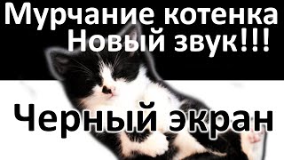 Мурчание кошки Черный экран | Cat purring black screen| Мурлыканье кошки для сна | Урчание кошки |
