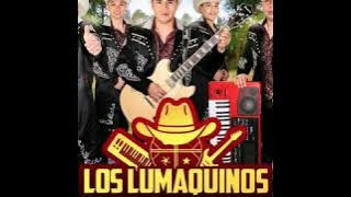 Mix Los Lumaquinos alegres 2020 III cumbia y sabor 🔥DJMARTINEXX🔥
