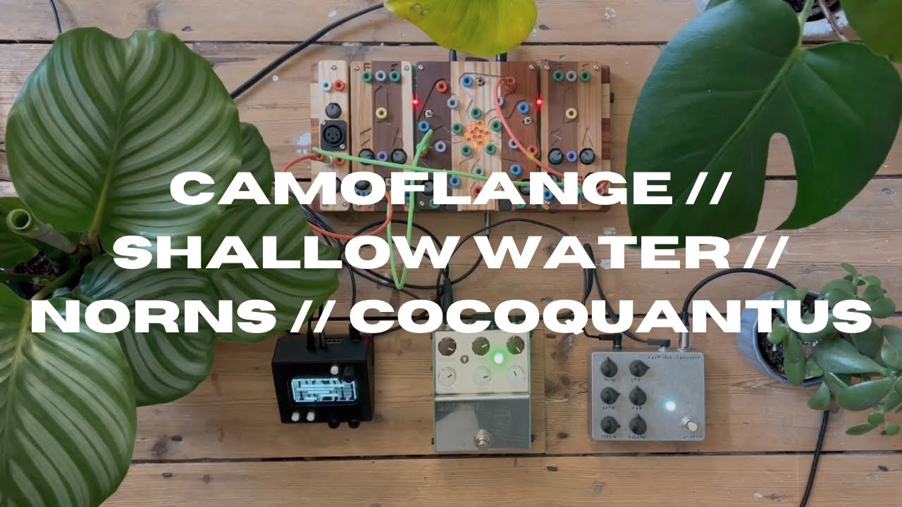 My favourite modulation pedals // Camoflange // Shallow Water YouTube
