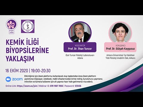 Kemik İliği Biyopsilerine Yaklaşım