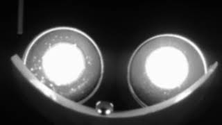 Water Droplet Rolling in a Half-Pipe