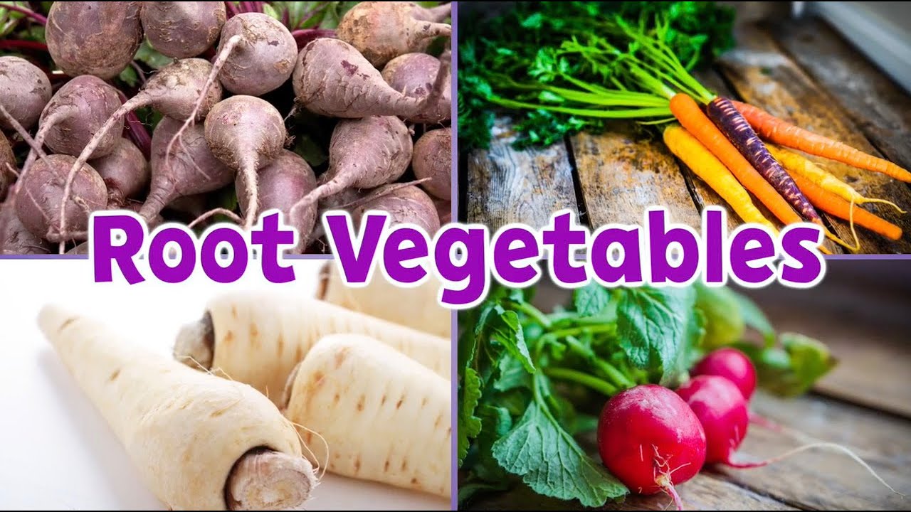Root Vegetables Nutrition & Activities Elementary Health and Wellness