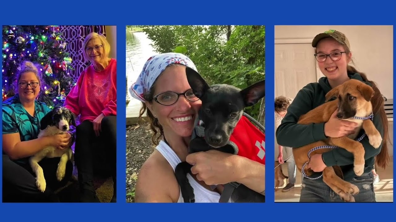 Celebrating our volunteers on National Volunteers Week