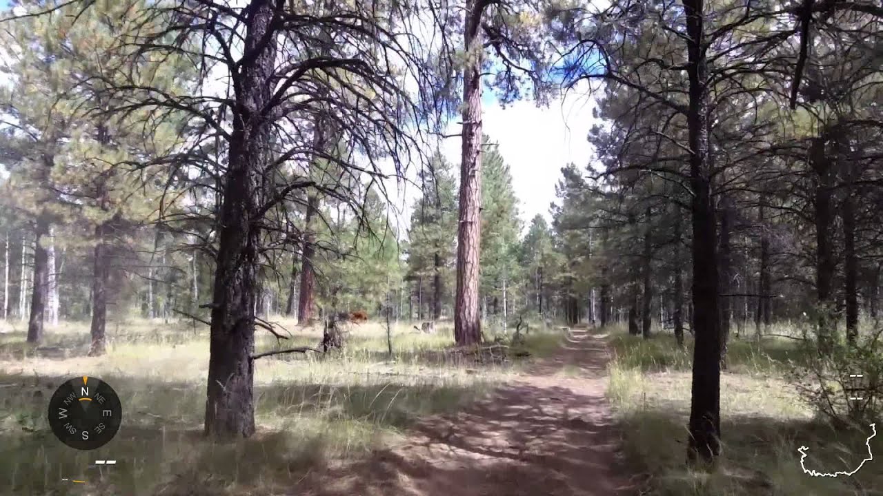Pagosa Springs ATV Ride 9/8/14 YouTube