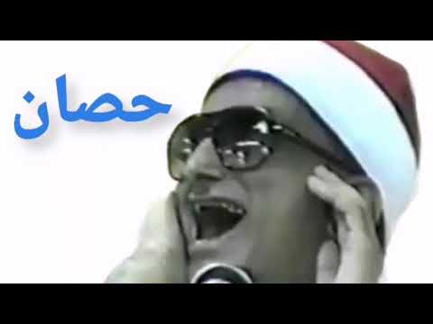الشيخ محمد عبد العزيز حصان اول سورة فاطر