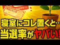 【年末ジャンボ宝くじ×金運】寝室に置くだけで当選運が爆上がりする観葉植物3選！
