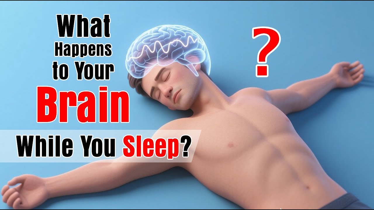 🧠 The Secret Brain Repair System That Activates Only During Sleep