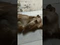 உழைச்சா உடம்புக்கு நல்லது