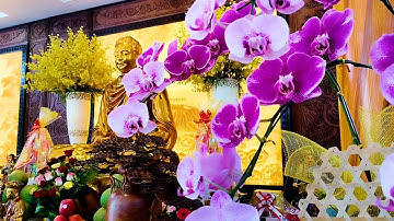 Mỗi Tối Tụng Kinh Sám Hối Hết Bệnh Khỏe Mạnh ,Hưng Vượng Tiền Vô Ào Ào Như Nước Mọi Sự Hanh Thông