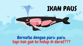 WHALES breathe with lungs, BUT WHY CAN'T THEY LIVE ON LAND ❓❓❓ - SCIENCE DOCTOR screenshot 3