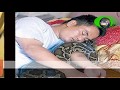 9 Tahun Lalu, Ia Menyelamatkan Ular Python Kecil yang Sekarat, Sang Python pun Membalas Budi