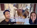 Cow ko Nilha Diya / Mr & Mrs Ayaz Ali #trending #viral #youtube #couple #vlog @YouTube