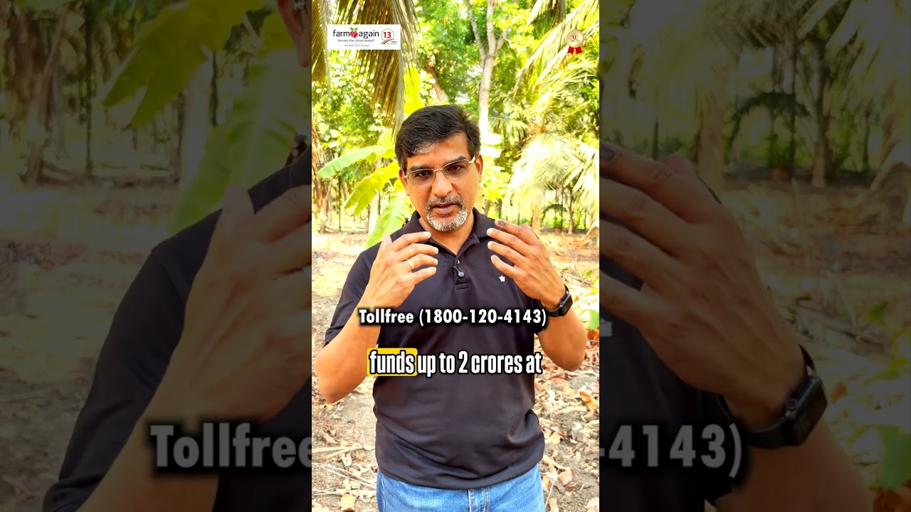 Spending So Much on Coconut Farming But No Returns? Watch This