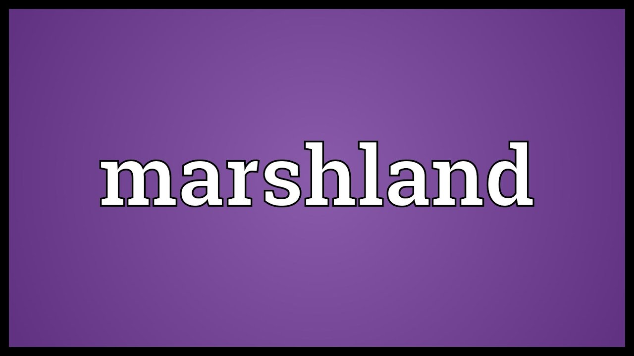 Marshland Meaning YouTube Marshland Meaning YouTube