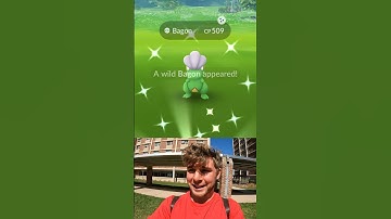 ✨I Got 2 SHINY Bagon in 1 Minute During Pokemon Go Community Day!✨ #pokemon #shorts