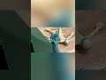 Army Men: Thorn base Ep2 Operation Just Cause #stopmotion #armymen #short #shortsvideo #shortsvideo