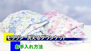 モリリン　ダウンケットS　2枚組　JTDF60S モリリン フランス産羽毛 洗えるダウンケット 2枚組 JTDF60Sの