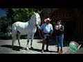 Conoce al "Señor de los caballos" en Almoloya de Juárez - #TVCONAPE