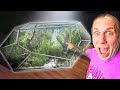 I Bought The Craziest Fish Aquarium Ever!
