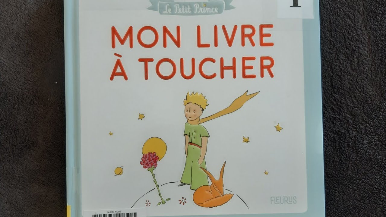 Le Petit Prince pour les enfants - Livre audio - Histoire du soir pour  enfants pour s'endormir 