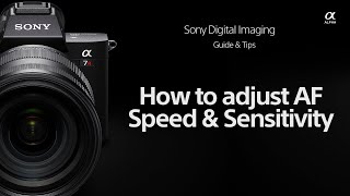 Sony  How Tos  How To Adjust Autofocus Speed And Sensitivity For Your Sony Camera