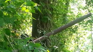 12.Gauge Exploding arrow head