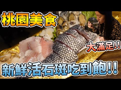 【桃園美食】超滿足！！新鮮活石斑吃到飽！！！桃園也是有厲害的火鍋店！！|店裡有隻貓