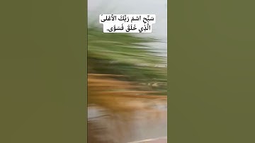 سَبِّحِ اسْمَ رَبِّكَ الأَعْلَى#سورة_الاعلى#ماهر_المعيقلي #القرآن_الكريم #راحة_نفسية #quran#قرآن 🔥❤️