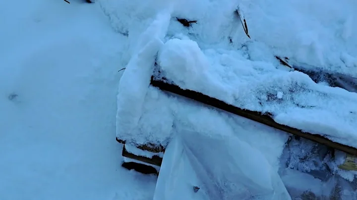 Extreme Cold continues in Canada Koi Ponds
