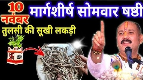 10 नवंबर मार्गशीर्ष सोमवार षष्ठी तिथि को तुलसी की सुखी लकड़ी वाला उपाय जरुर करे || Pradeep Ji Mishra