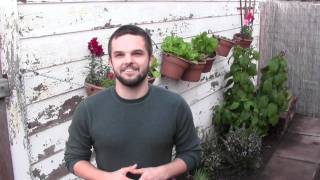 Trevor Teacher Bio