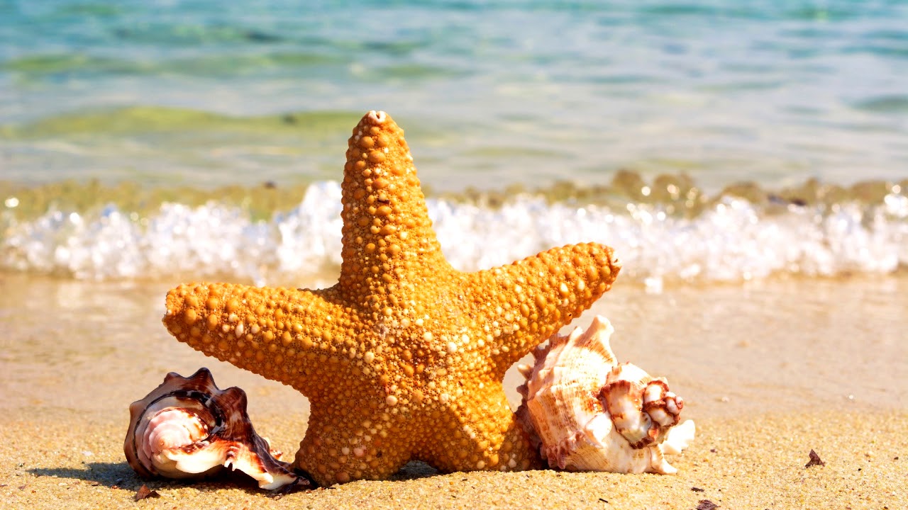 Water Map - VLDC8 Music ~ Sinc-X