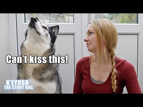 kissing-my-dog-too-much!-he-gives-me-the-side-eye!