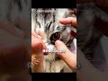 今も変わらない姿で見られるように 🐾❤️
