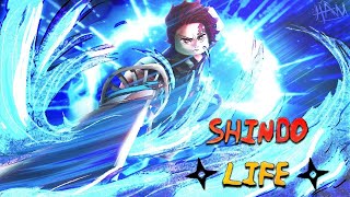 [500 Spin Code] Kenjutsu Breathing Techniques update