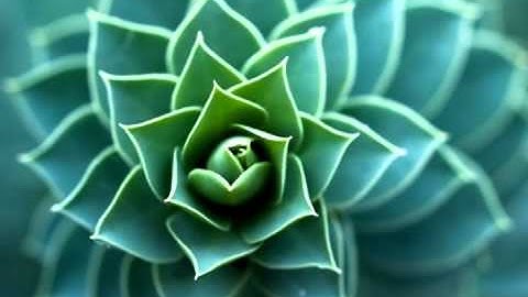 Pisano period (n=12) in music. Fibonacci Numbers