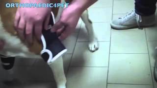 BT SOFT- Elbow brace screenshot 4