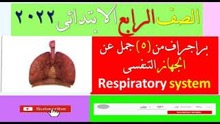 براجراف عن الجهاز التنفسى Respiratory System للصف الرابع الابتدائى الترم الأول 2022